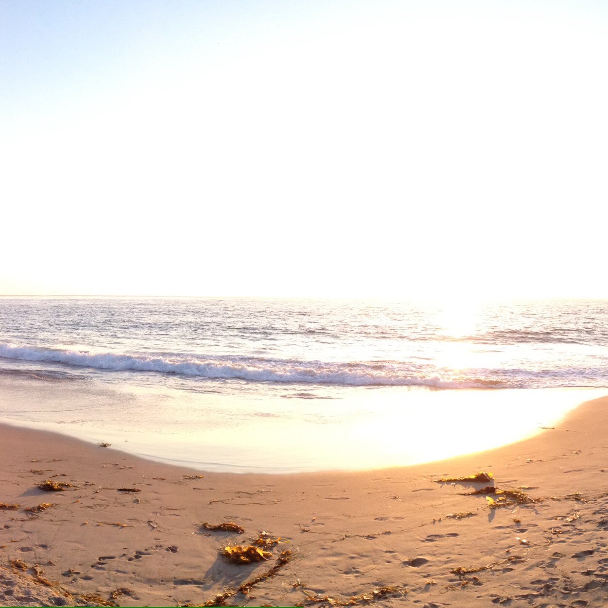 rm5979's profile picture. "I can calculate the movement of stars, but not the madness of men." - Isaac Newton