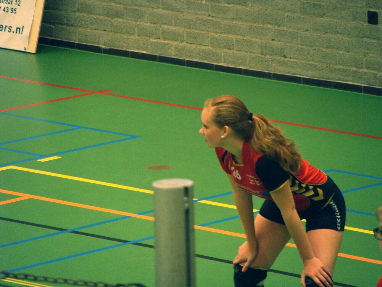 B'day 11'10 / Volleybal/ Dieren. ♥