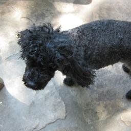 katianaalexand1's profile picture. 