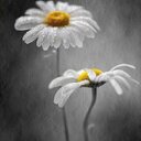 Vickie Patton - @VickiePattonMO - Twitter