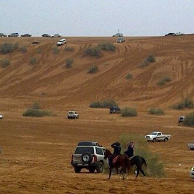 المطيري