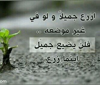 أعمل لدنياك كأنك تعيش ابدا .. وأعمل لاخرتك كأنك تموت غدا