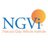 NGVInstitute's profile image