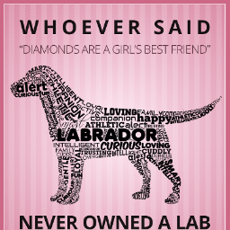 ladycardinfl's profile picture. mother wife daughter Professional Engineer Environmental Consultant Labrador and Flat-Coated Retriever lover
