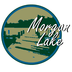 MorganLakeRP's profile picture. Official Twitter account for the Morgan Lake Revitalization Project. Volunteer at Poughkeepsie's historic urban fishery.