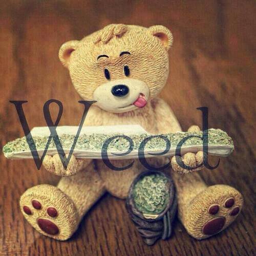 Carlos4Carlito's profile picture. NITI2 :$