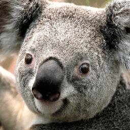 yusuf233322344's profile picture. 