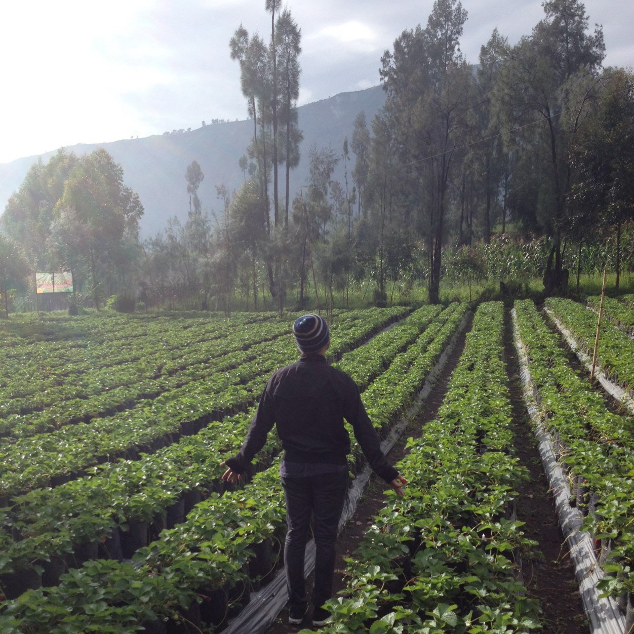 galalaell58's profile picture. I Was Too Weak To Give In And Too Strong To Lose cause i'm CREATOR!!