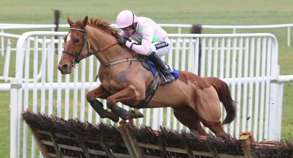 2 lovers of the jumping game. Posting Our Selections, Opinions, News and Views on Horse Racing. Always up for a good debate. All opinions are welcome.