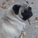 Denise Creech - @dcreech50 - Twitter