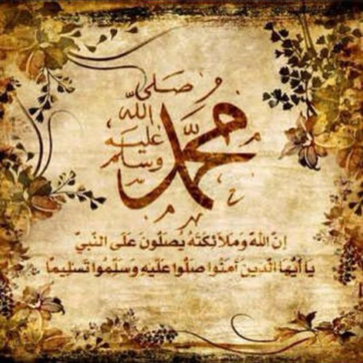 SultanSAlsultan's profile picture. 