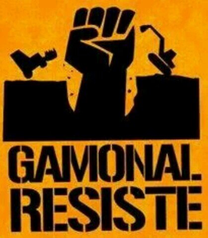 laurachoni10's profile picture. 