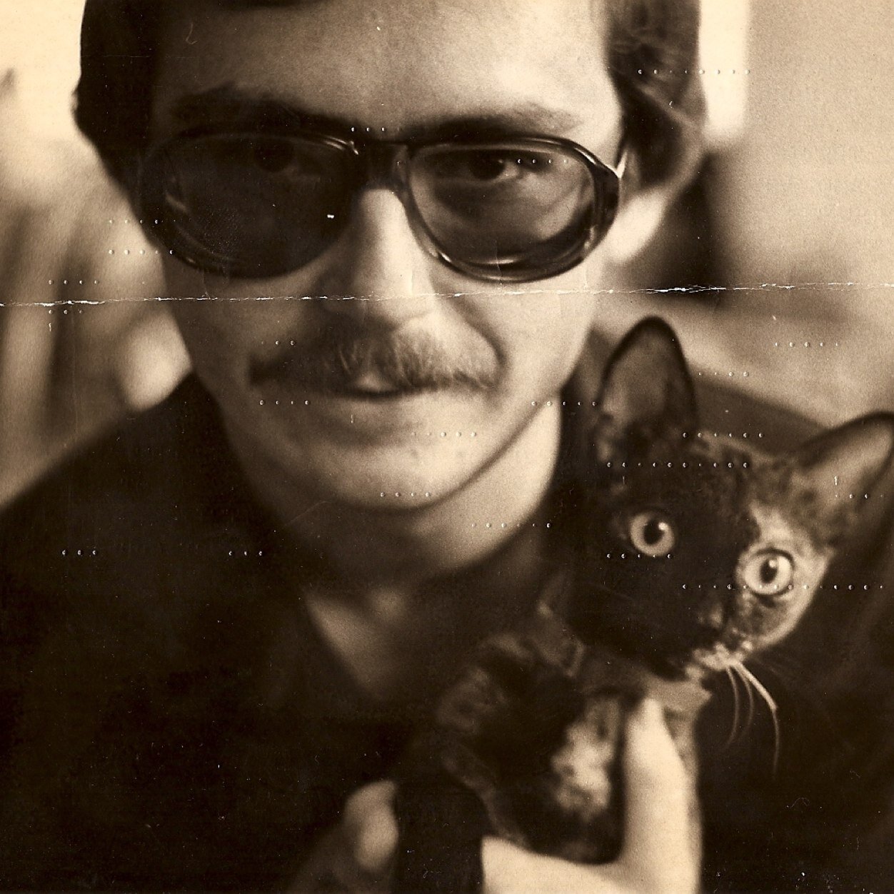 Tom Somerset (somerset_tom) Twitter