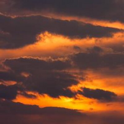 EWilliamsPhoto's profile image