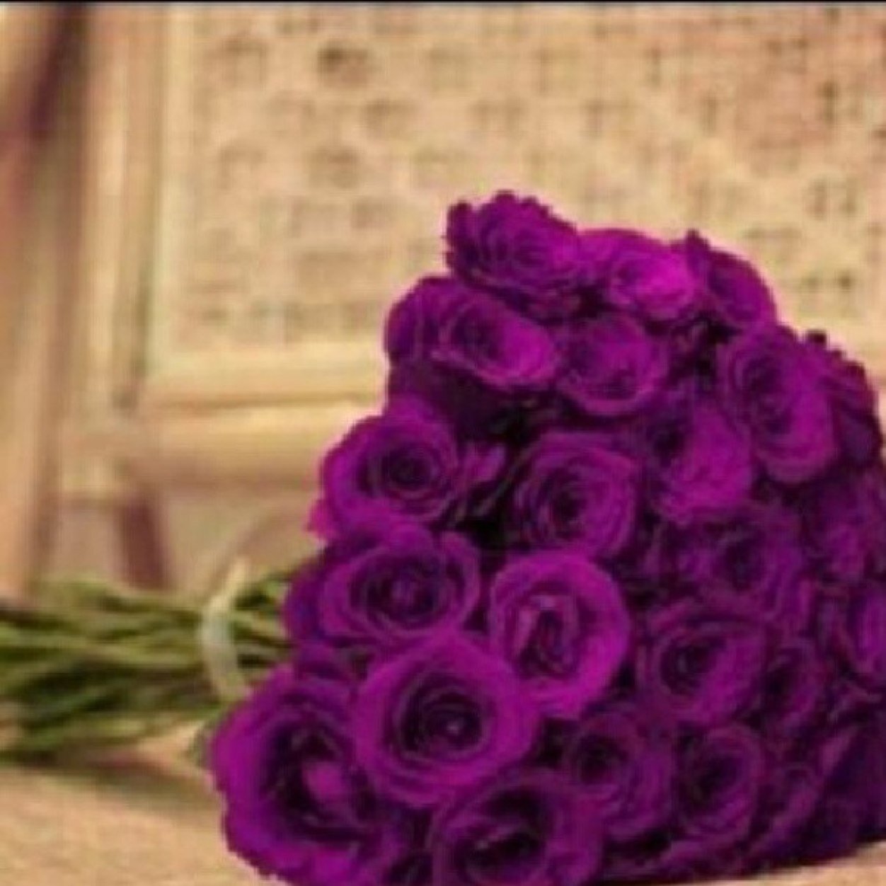 طالبه .... بجامعه جابر ♡