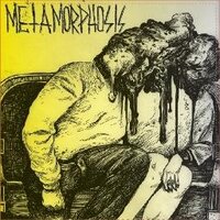 metamorphosis (@metamorphosispe) 's Twitter Profile
