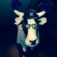 Alan Lubin (@___upstate) 's Twitter Profile Photo