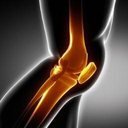 Doctor Carney specializes in reconstructive orthopedics surgery & sports medicine. He offers the most advanced and comprehensive care in Bergen County, NJ.
