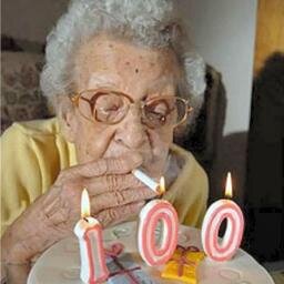 segredosvg's profile picture. vou contar as novidades