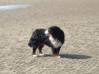 Toadie2007's profile picture. 