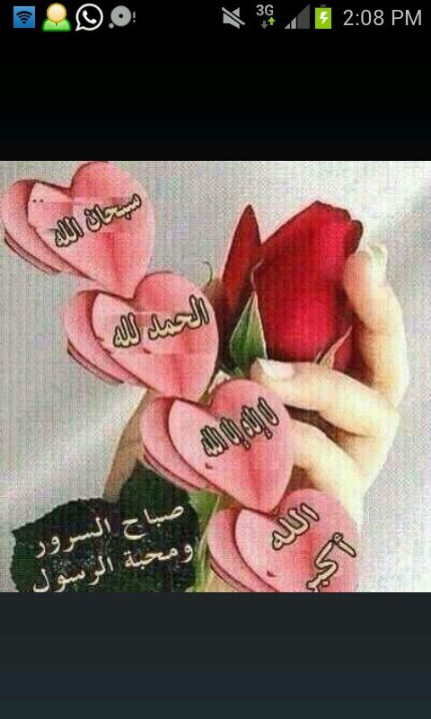 MOMO94320's profile picture. 