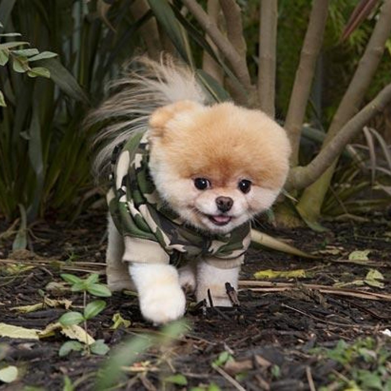 It is true put camo on anything and its cute❤️