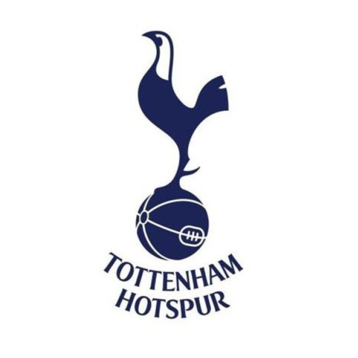 SpursU21news's profile picture. Non official account , news about spurs u21 , we follow back :)