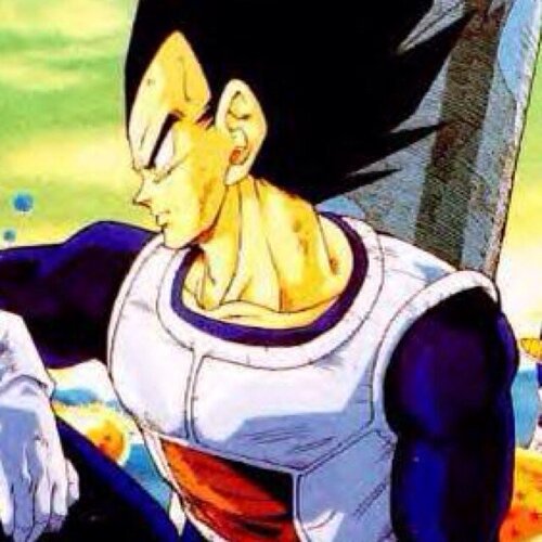 I am vegeta the prince of all saiyans! #single