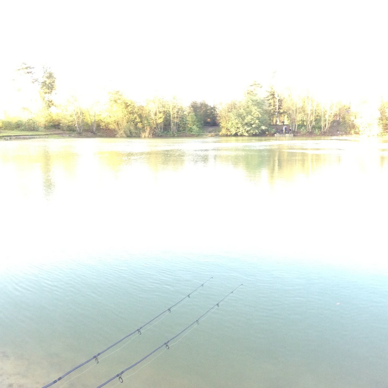Flair Baits produce and sell a range of high quality Pop-ups, Cork balls and Wafters. 
Enquiries: flairbaits@hotmail.com