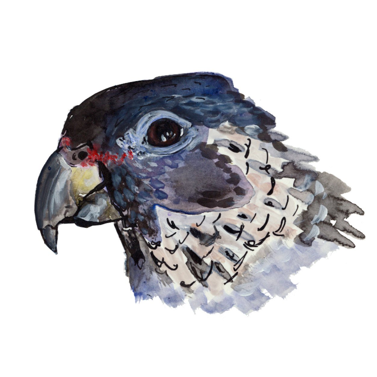parrots and all forms of life interested me !