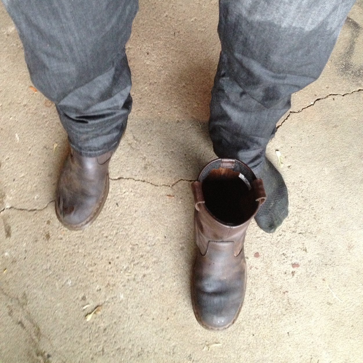 reignition883's profile picture. 