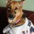 JerryThunder12's profile image