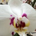 Tish Williams - @TishW1010 - Twitter