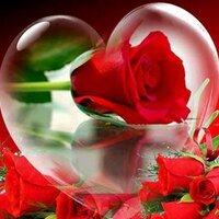 halola (@no_pain_plz1) Twitter profile photo