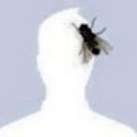 Page (@ledzeppeluis) 's Twitter Profile Photo