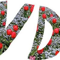 ViolenzaDentro (@violenzadentro) 's Twitter Profile Photo