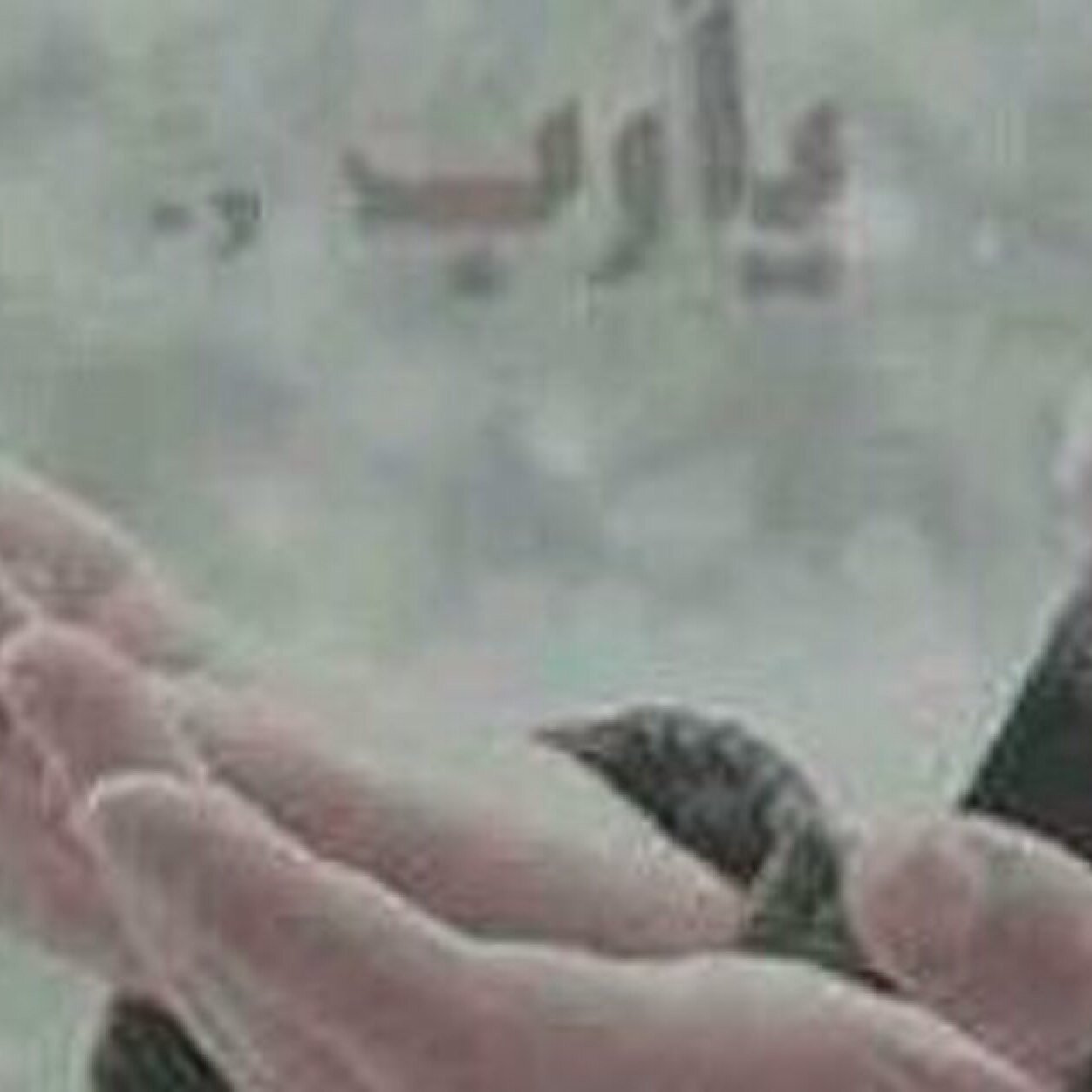 الرضاء بالقدر حكمه لن يفهمها الكثيرين لذا أغمض عينيك وقل : ربي إختر لي ماتراه خيراً لي
