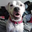 Randi Wells - @Randi_Wells - Twitter