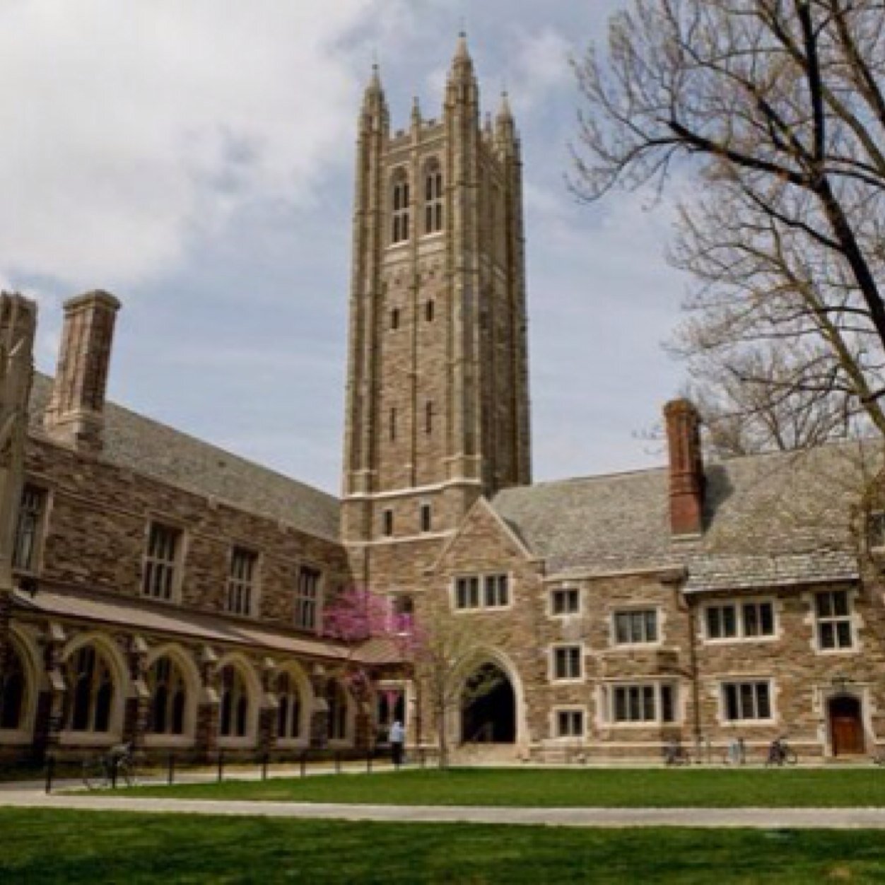 AC_Worldwide's profile picture. Showing off the world's best colleges