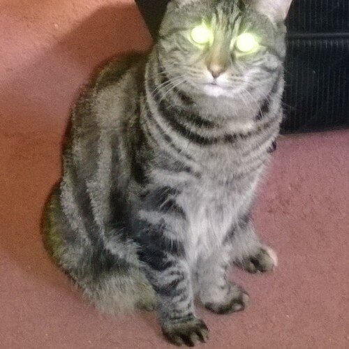 chi11y69's profile picture. 