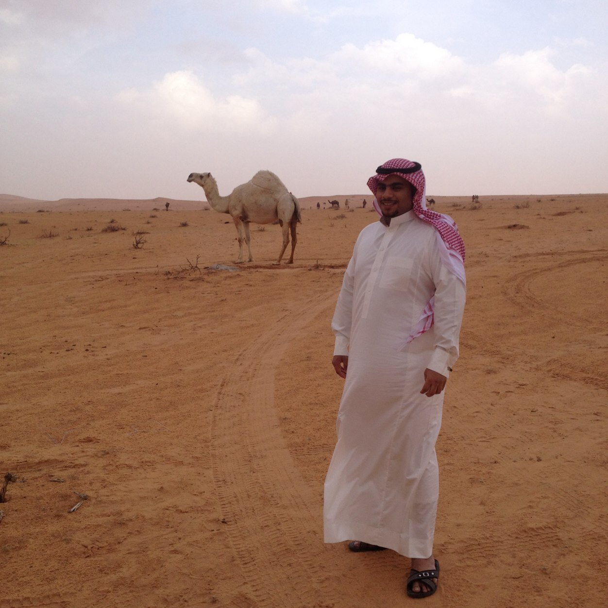 نساير الوقت ونقيسه بمقياسه*** ونجاهد النفس بالواقع ونقنعها شاعر أحياناً