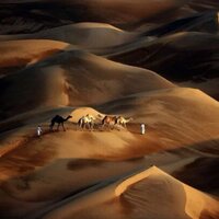 ملفي جفين (@mlfee894) 's Twitter Profile