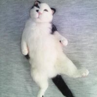 奈奈社長 (@nanasyacho) Twitter profile photo