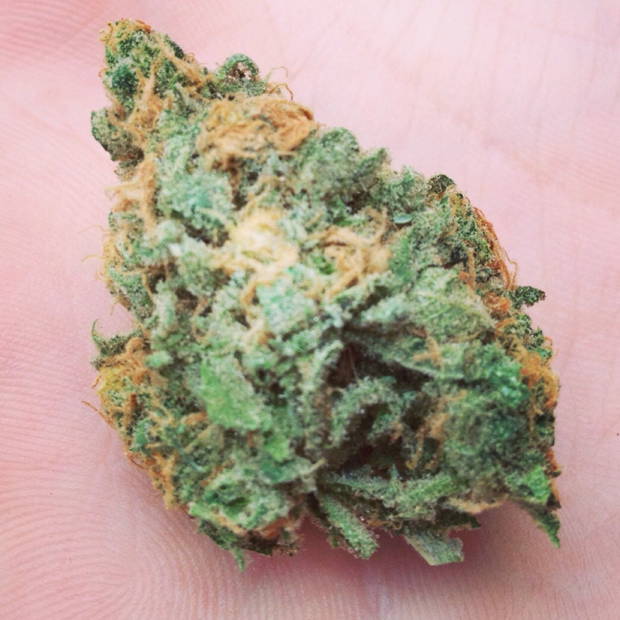 Northwest