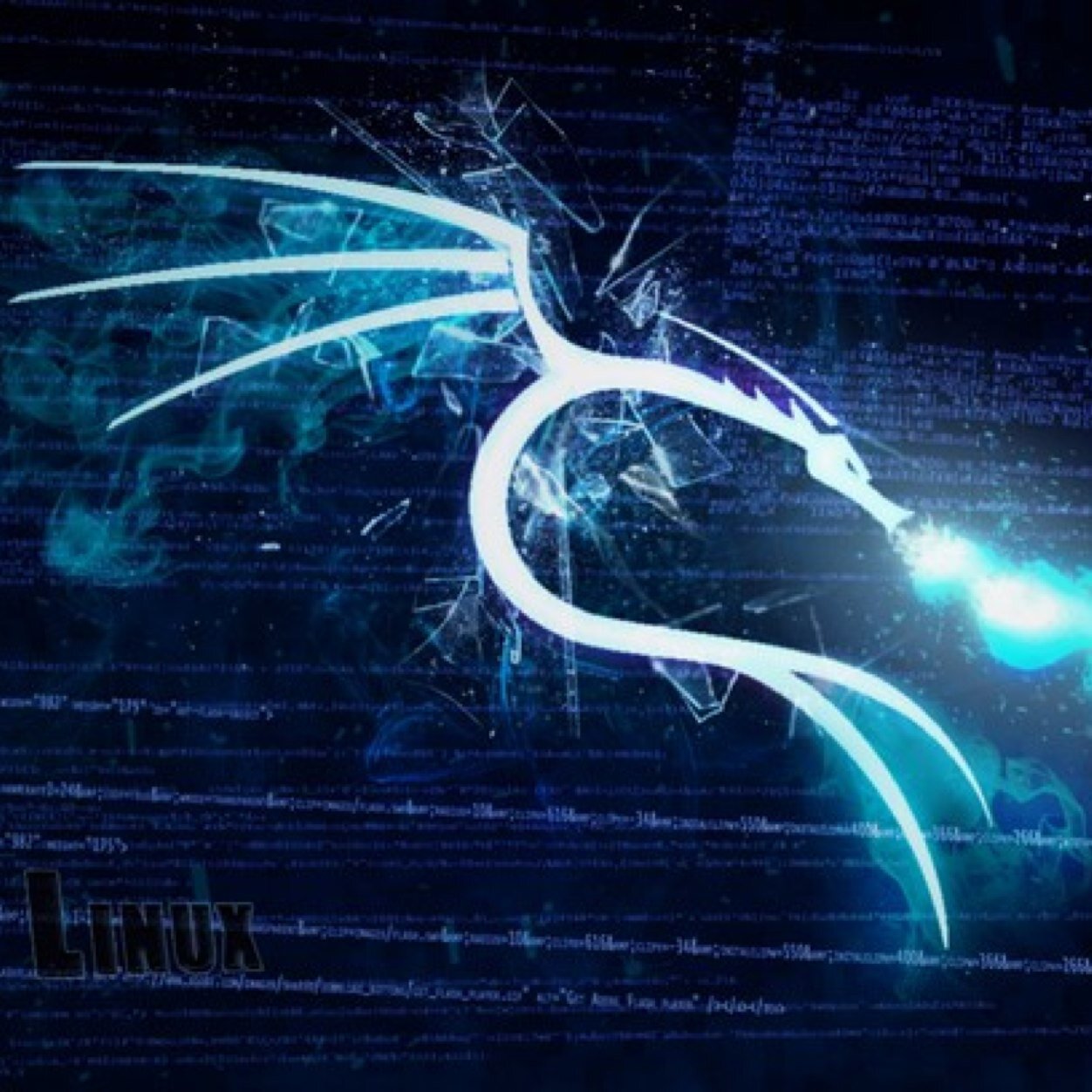 Tengo un nuevo proyecto donde encontraras servidores reales para practicar tus tecnicas hacking preferidas!
