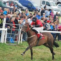 oisin orr (@oisinorr) 's Twitter Profile