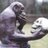 bcramer13's profile image