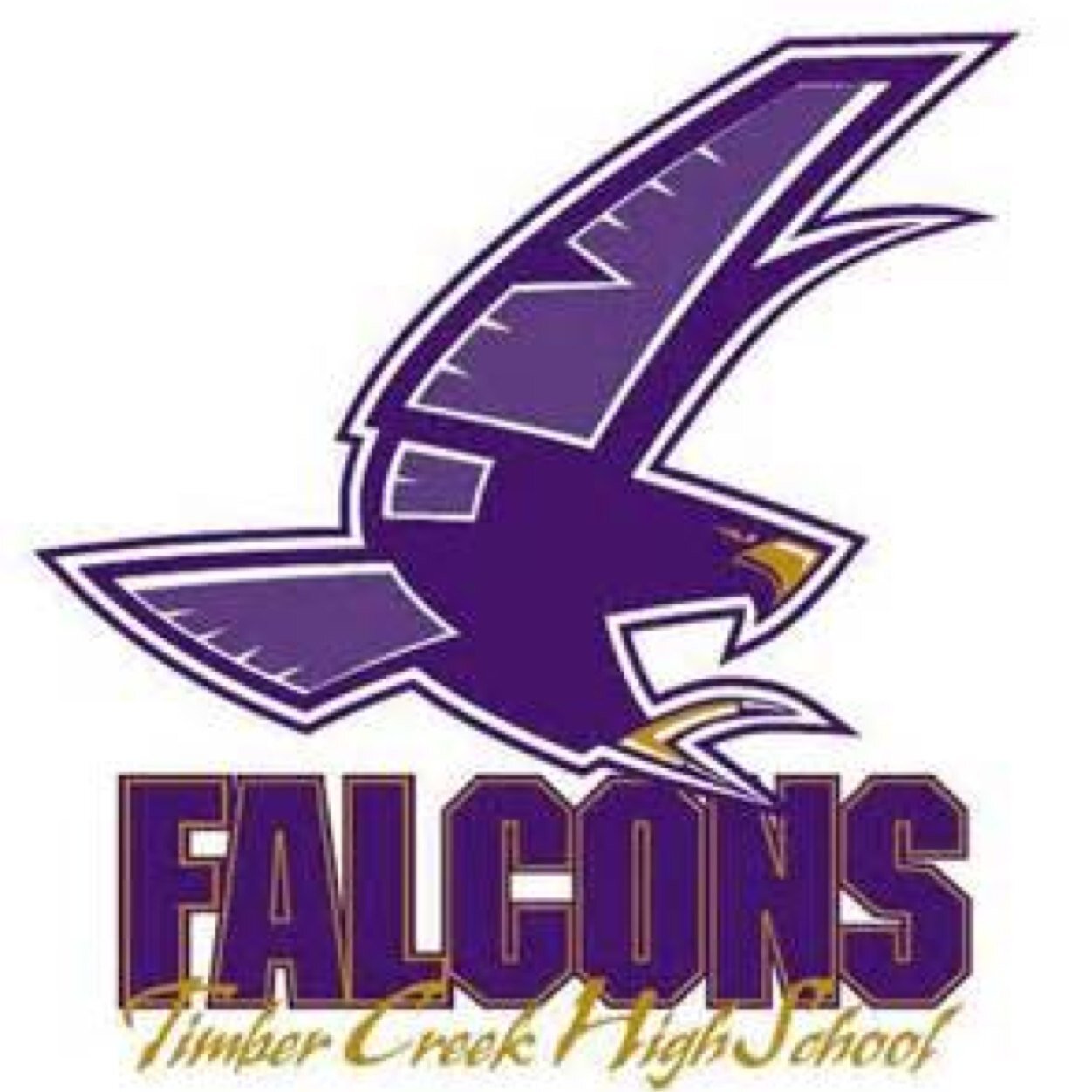 TCHSFalconBaseb's profile picture. Timber Creek Falcon Baseball Official Twitter
