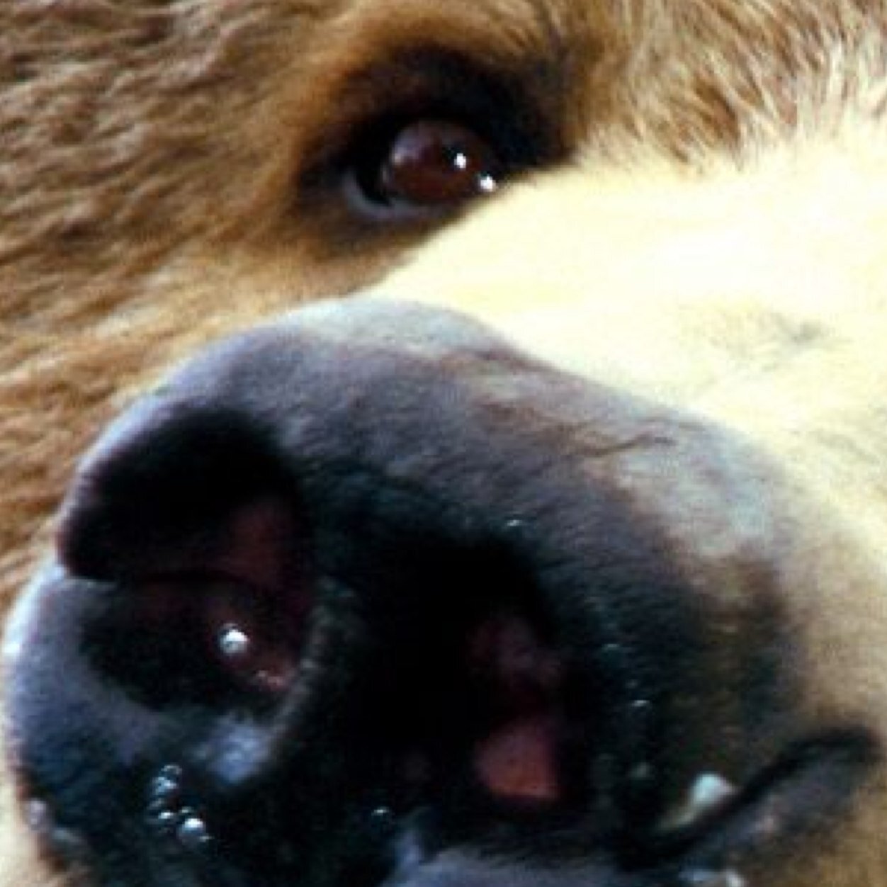 682981's profile picture. 