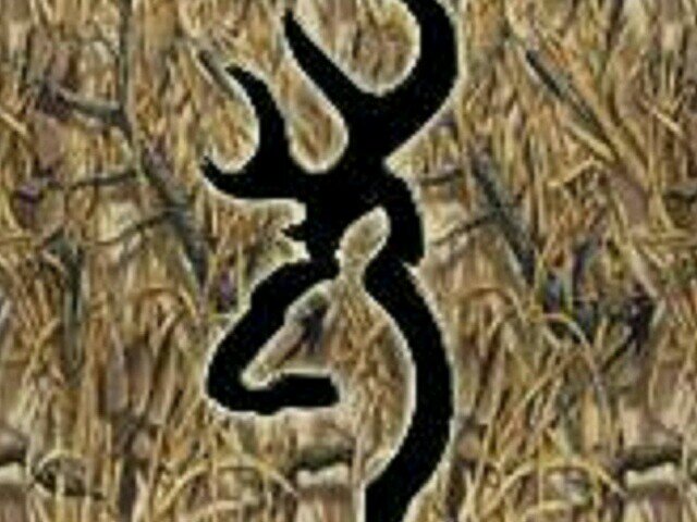 h_codyroberts8's profile picture. 